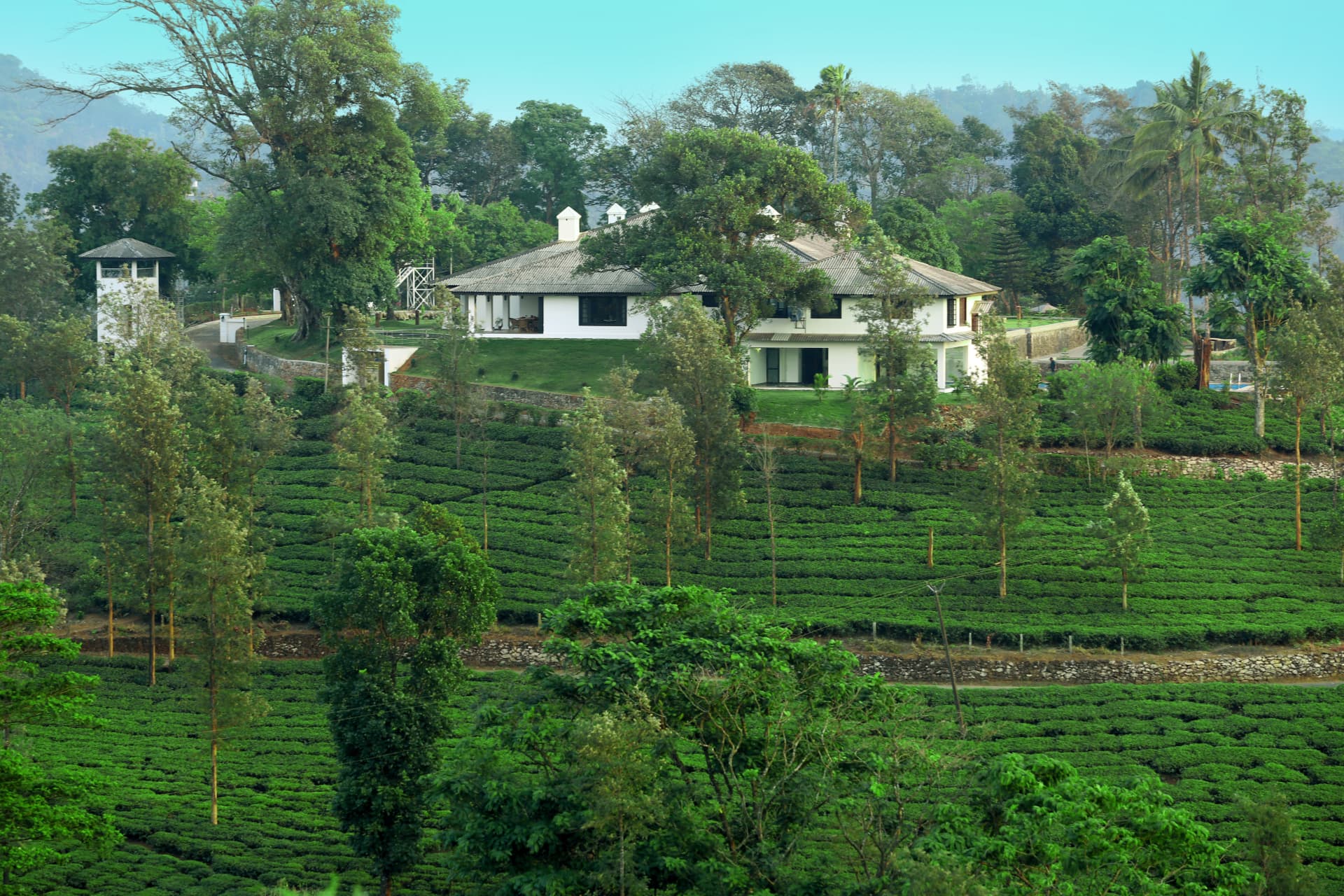 Aerial view of the estate bungalow set among tea plantations and forest