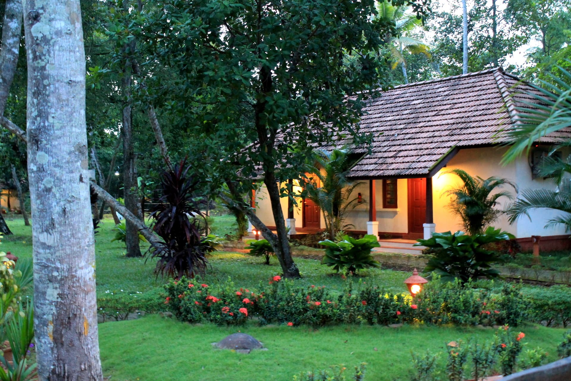 Garden cottage glowing at dusk amid tropical planting