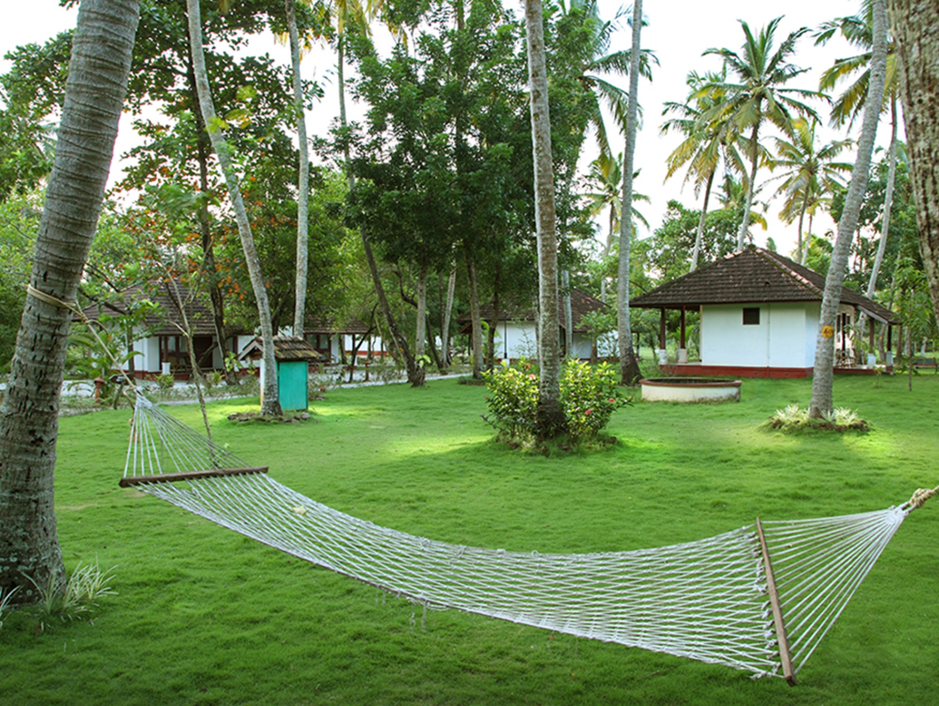 Hammock in the lush coconut garden between cottages