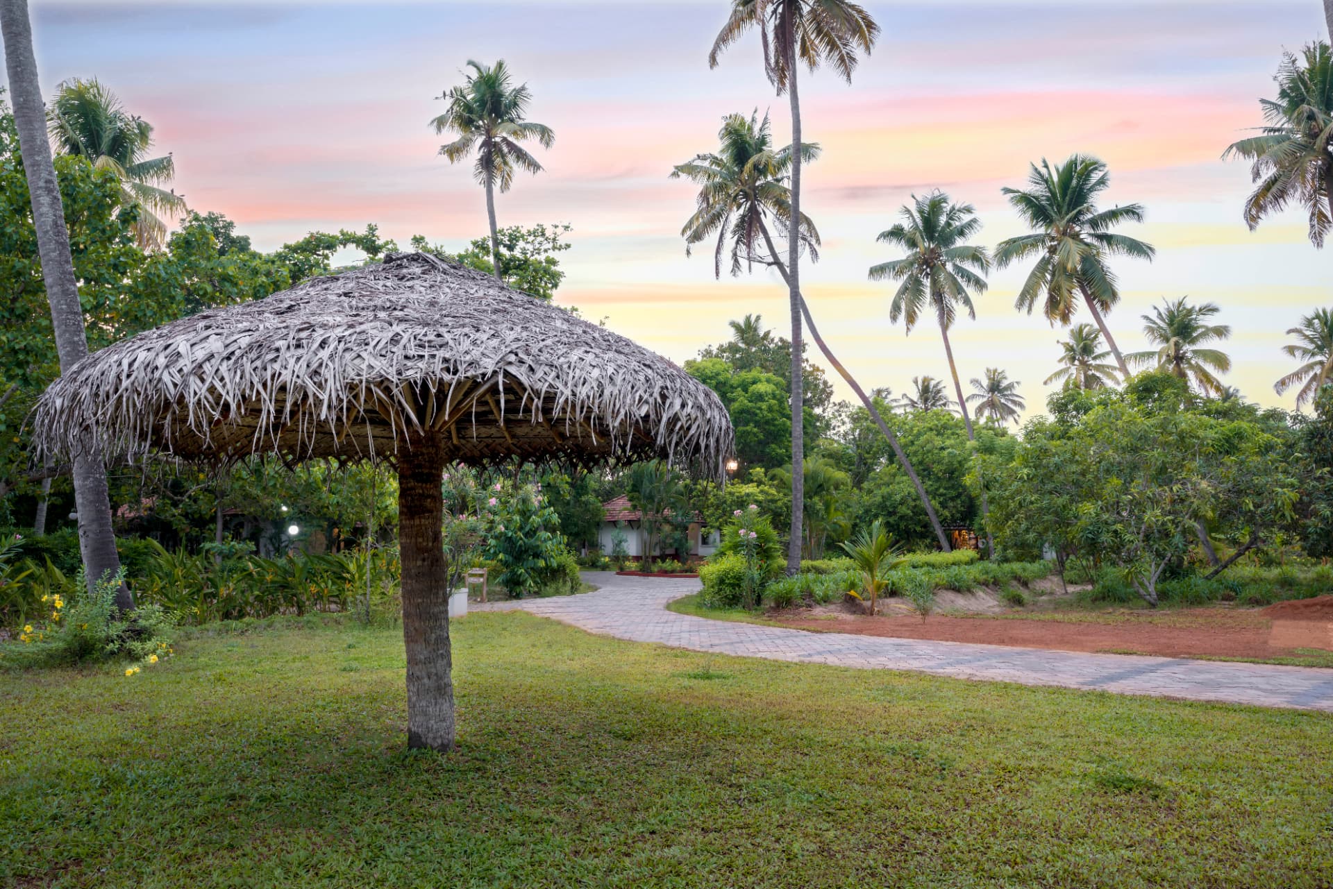 Thatched palm-leaf gazebo on the resort lawn at sunrise with coconut palms