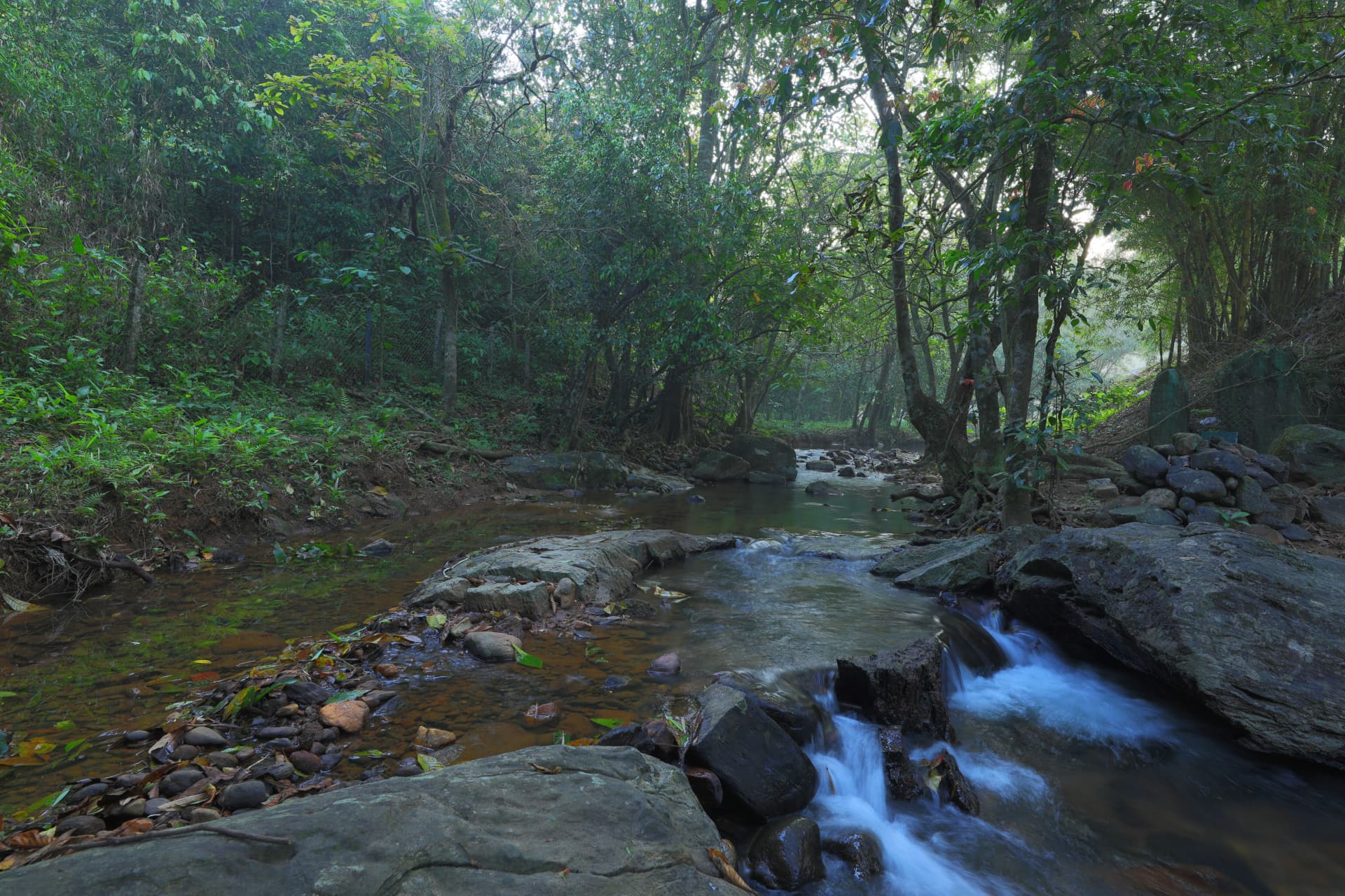 Forest stream – Abad Brookside Lakkidi, Wayanad