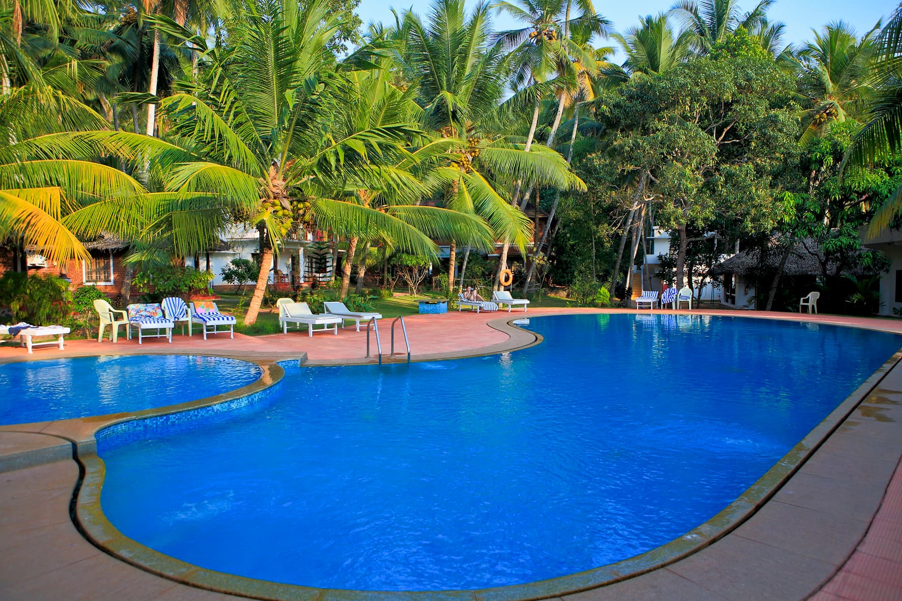 Free-form swimming pool with sun loungers and coconut palms