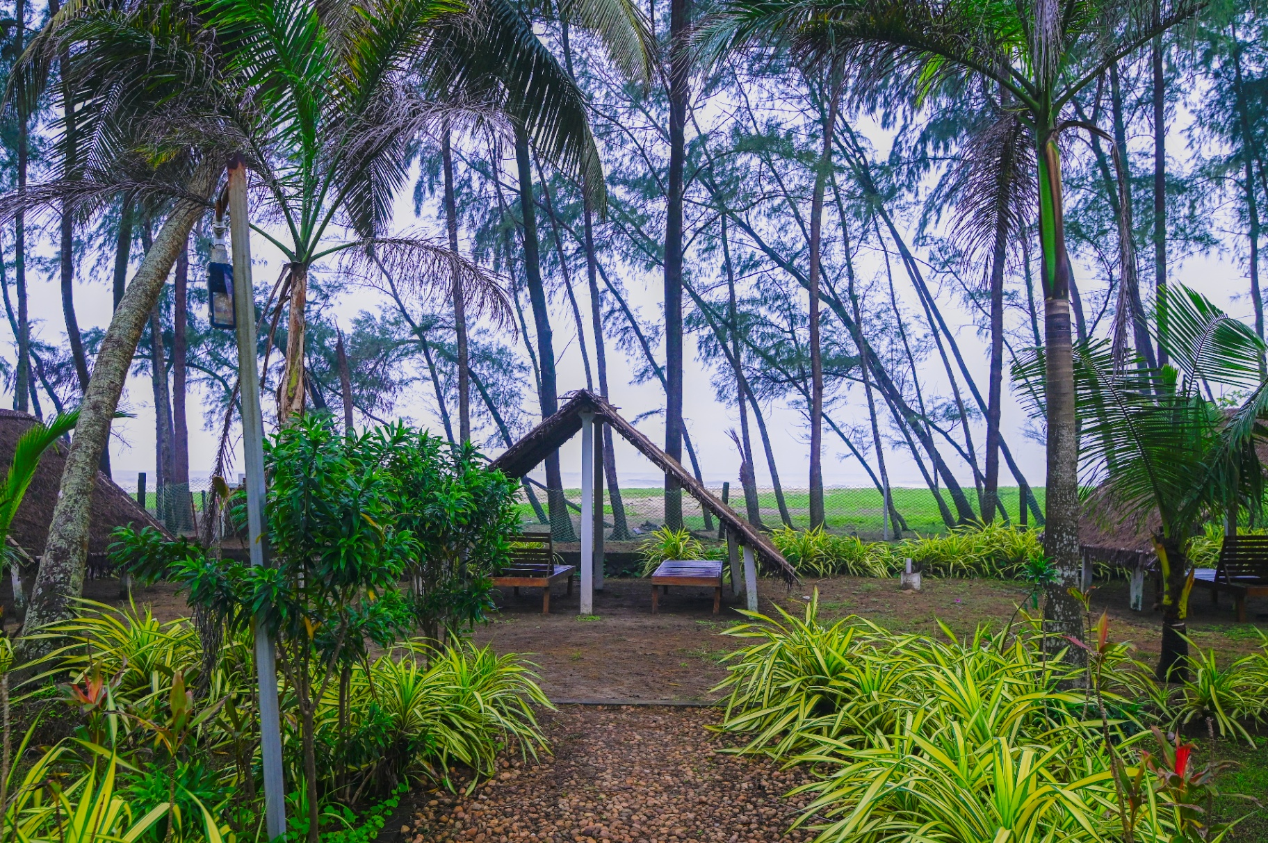 Palm-shaded wellness gardens