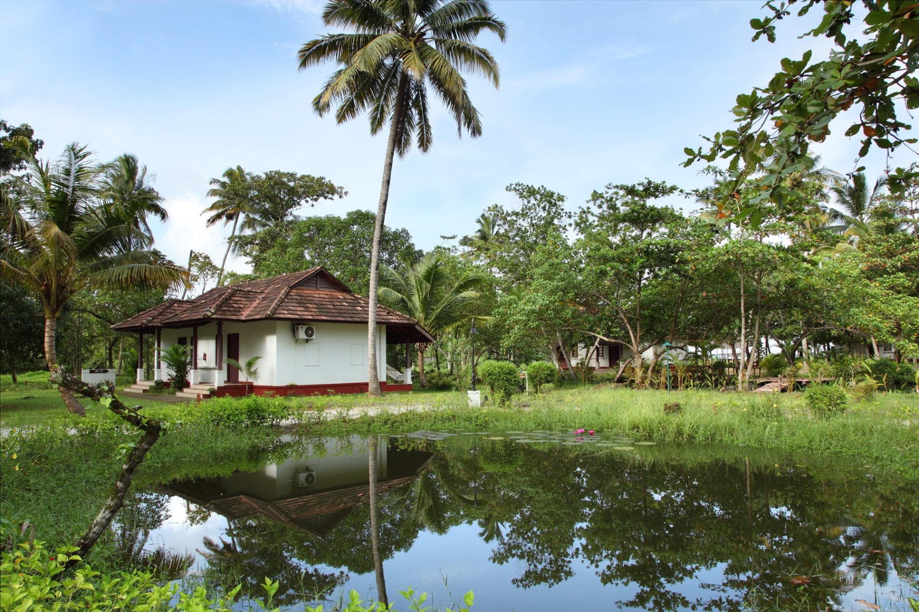 Kerala-style cottage reflected in a lily pond