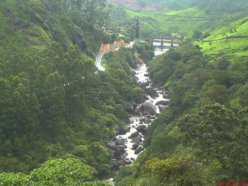 Stream and ravine below the tea slopes near Munnar