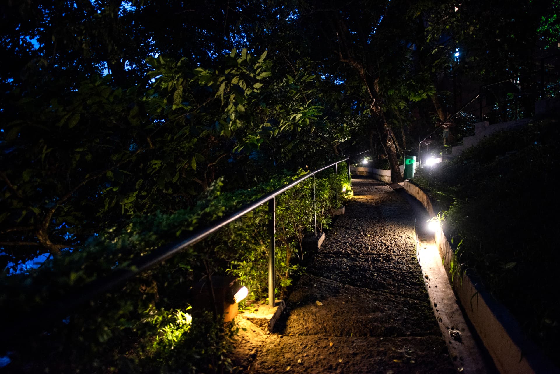 Illuminated garden pathway at night – Abad Green Forest, Thekkady