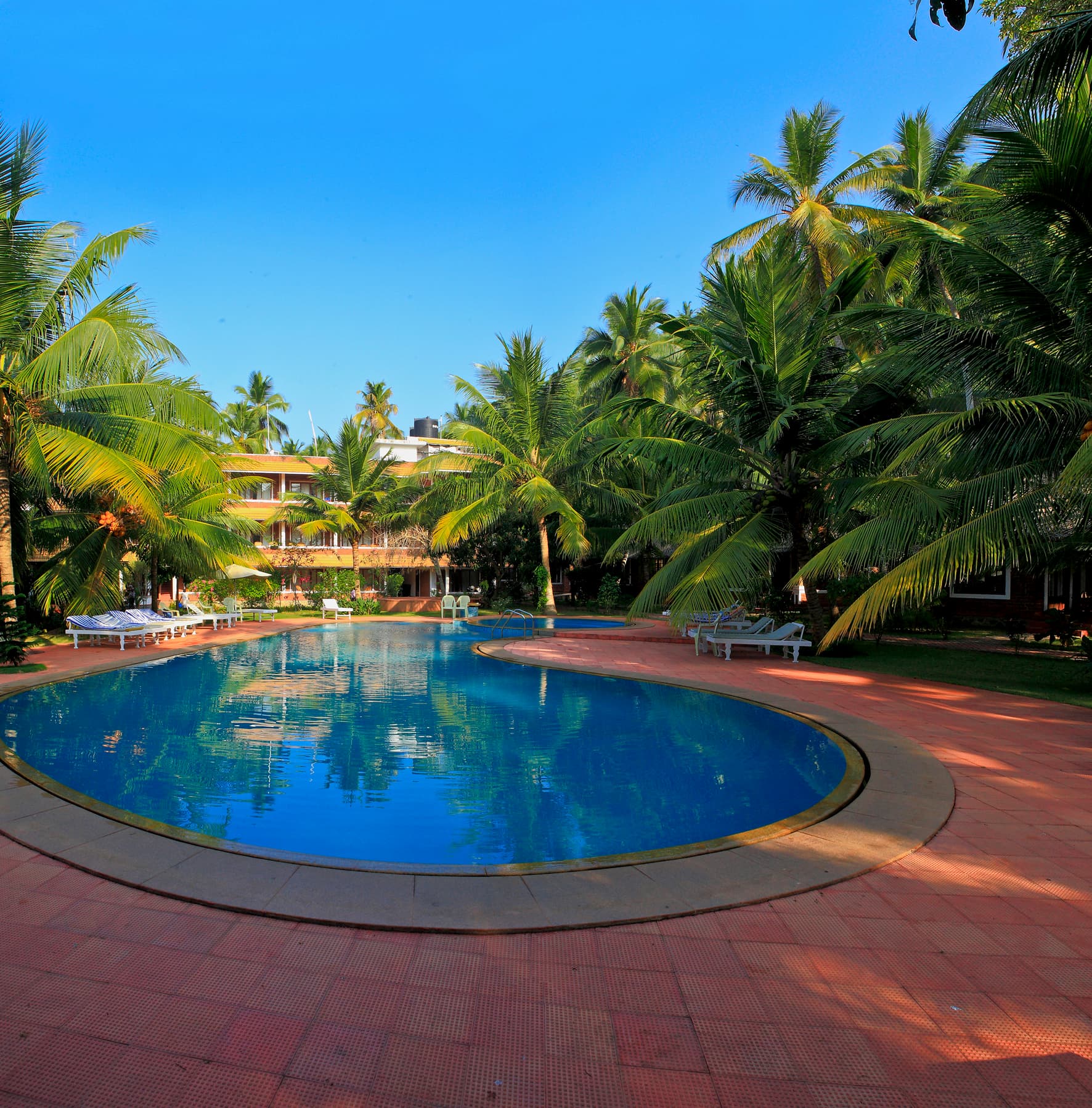 Curved resort pool and terracotta deck under blue skies