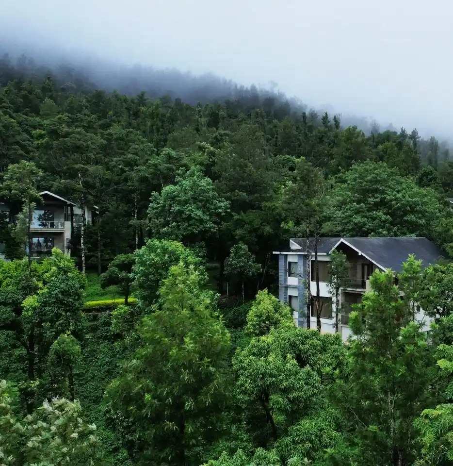 Trivik Hotels & Resorts