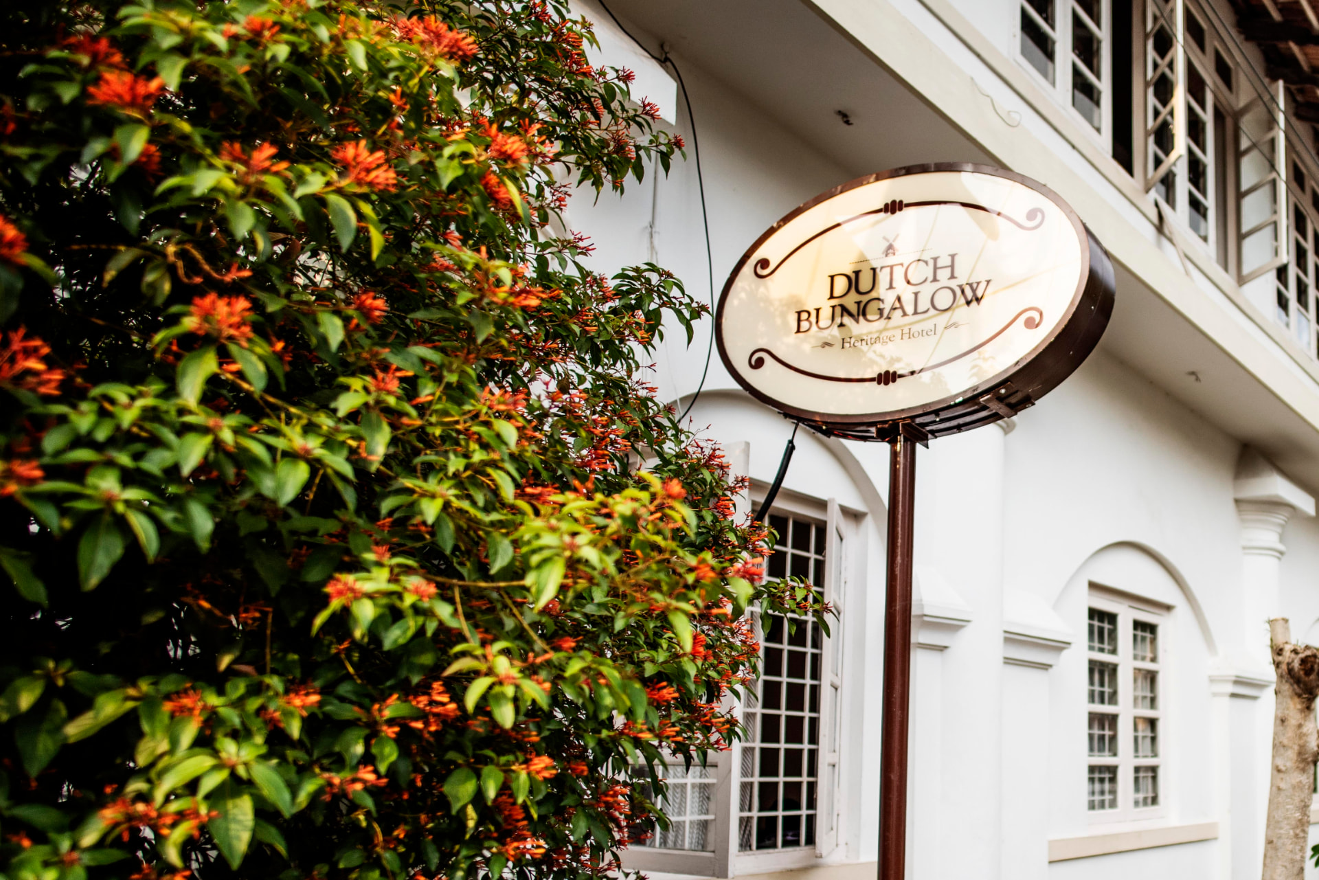 Dutch Bungalow heritage hotel signage among flowering shrubs