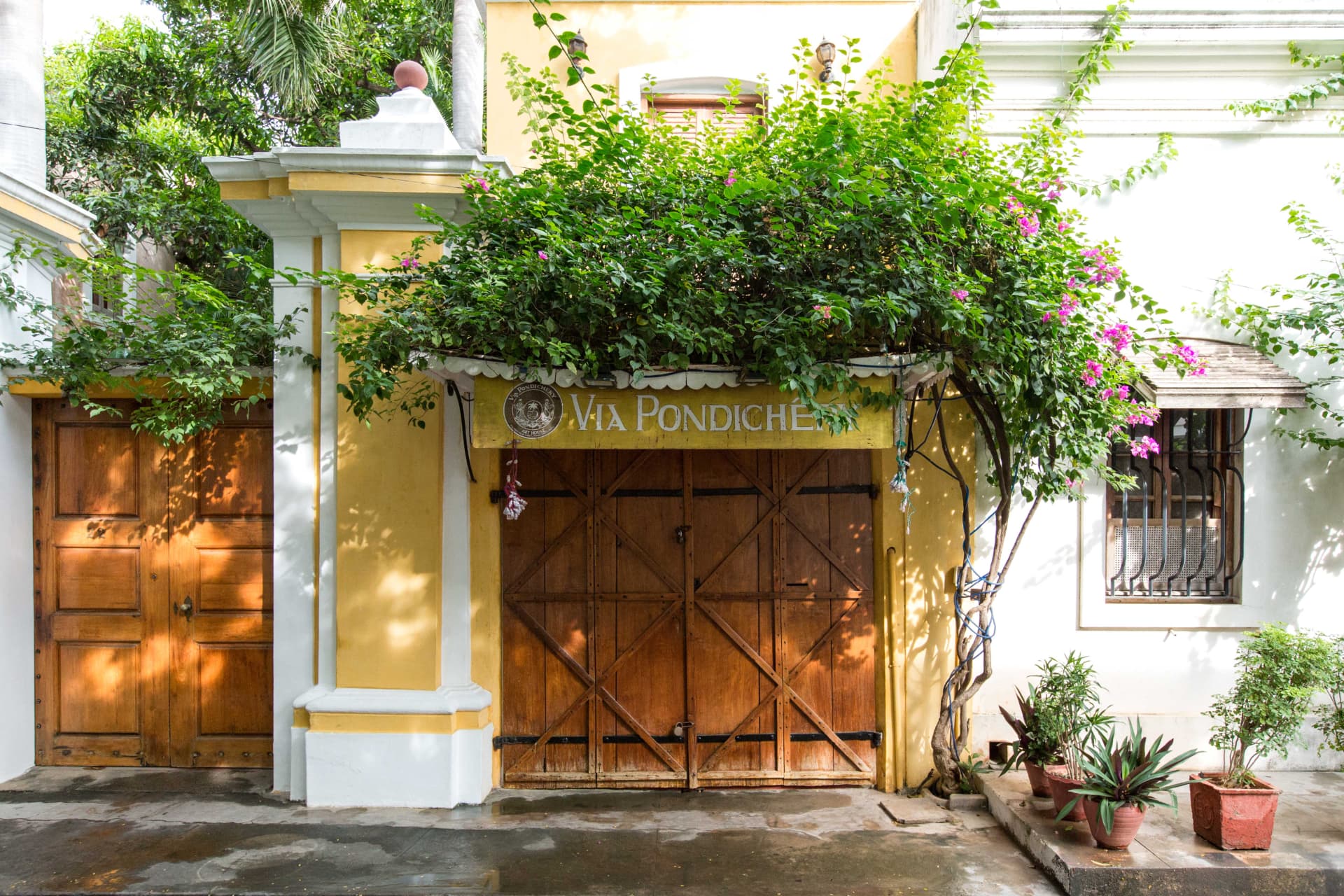 Bougainvillea over a traditional yellow heritage gateway in Pondicherry's Tamil Quarter