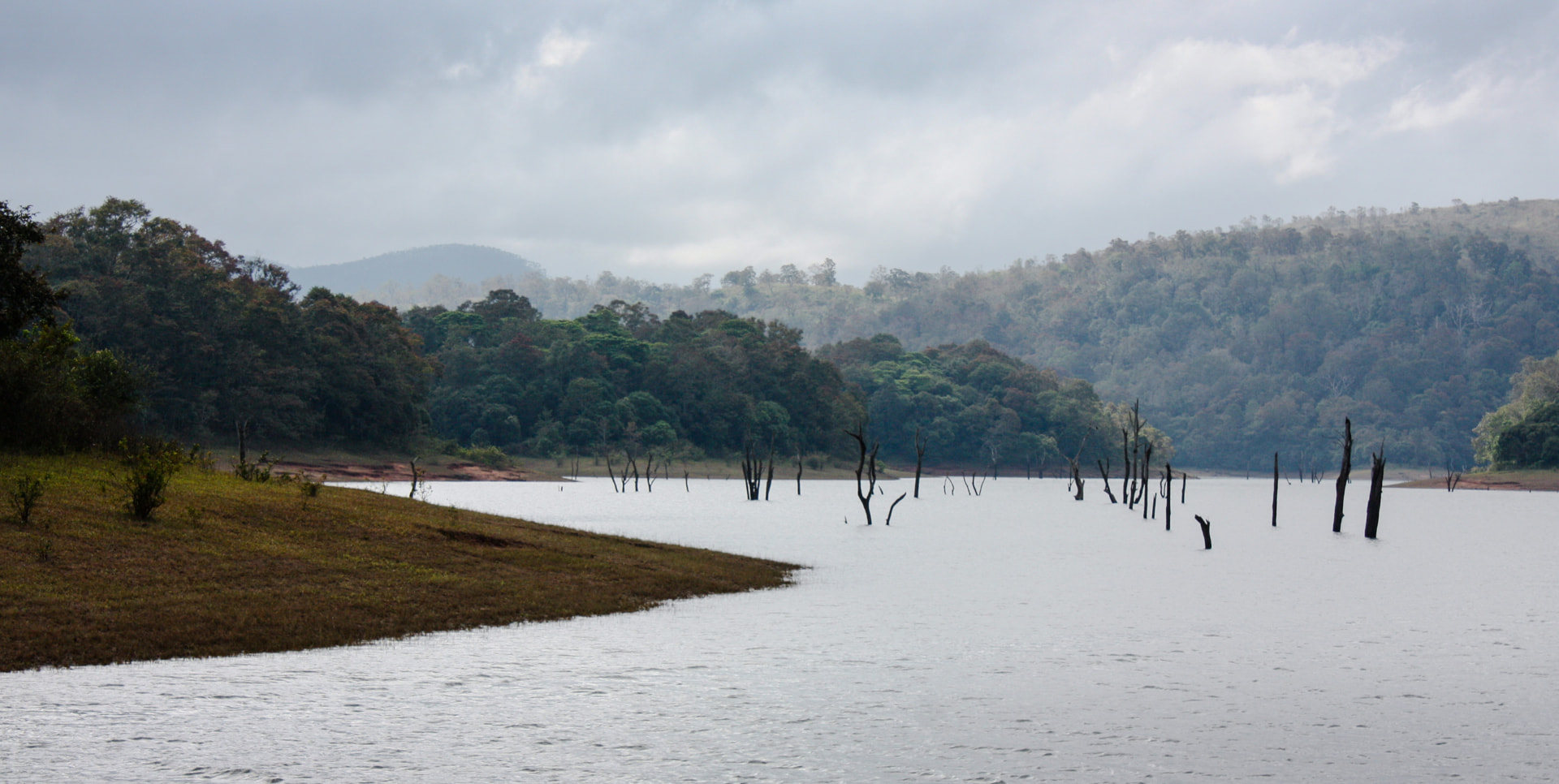 Periyar Lake at dawn – Abad Green Forest, Thekkady
