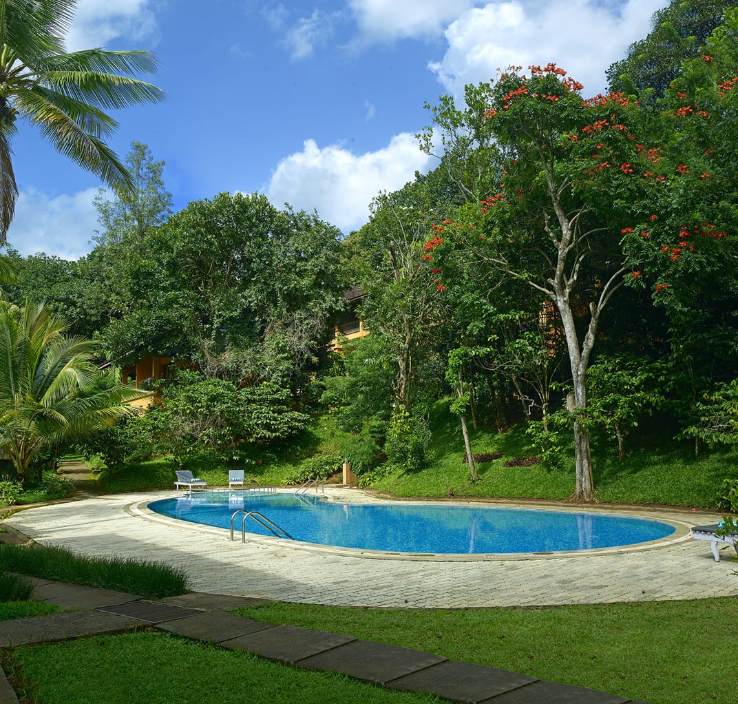 The swimming pool in daylight – Abad Green Forest, Thekkady