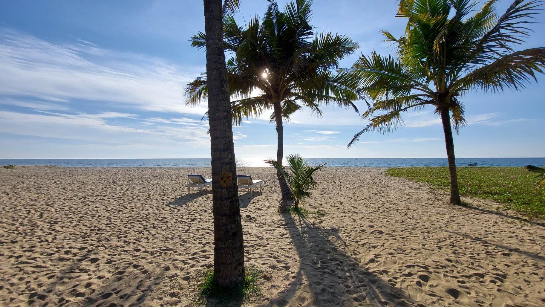 Sunlit Marari beach through coconut palms