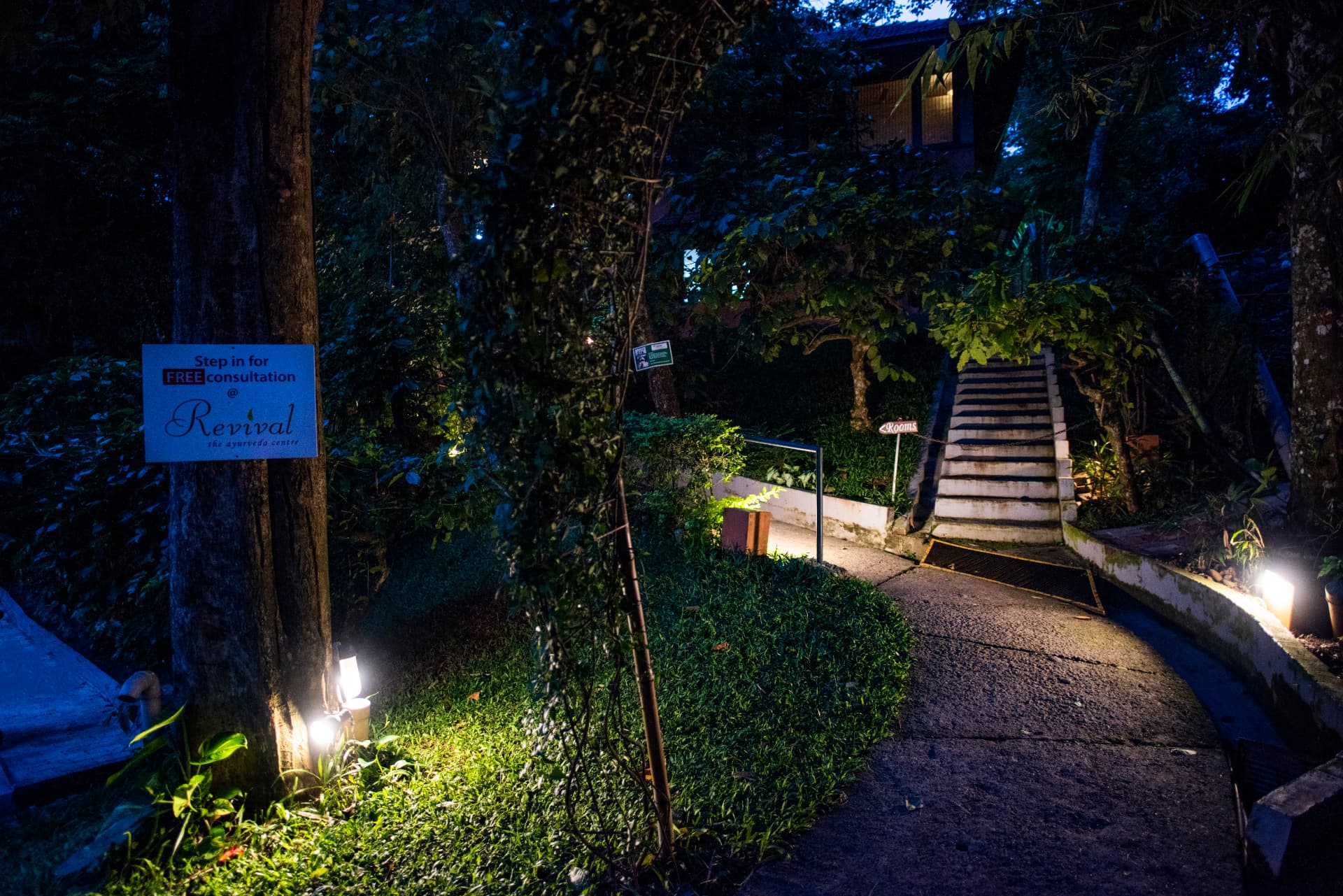 Lantern-lit path to the Revival Ayurveda Centre – Abad Green Forest, Thekkady