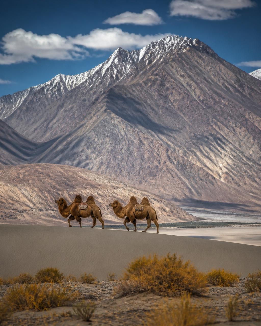 6N / 7D Leh – Nubra – Pangong