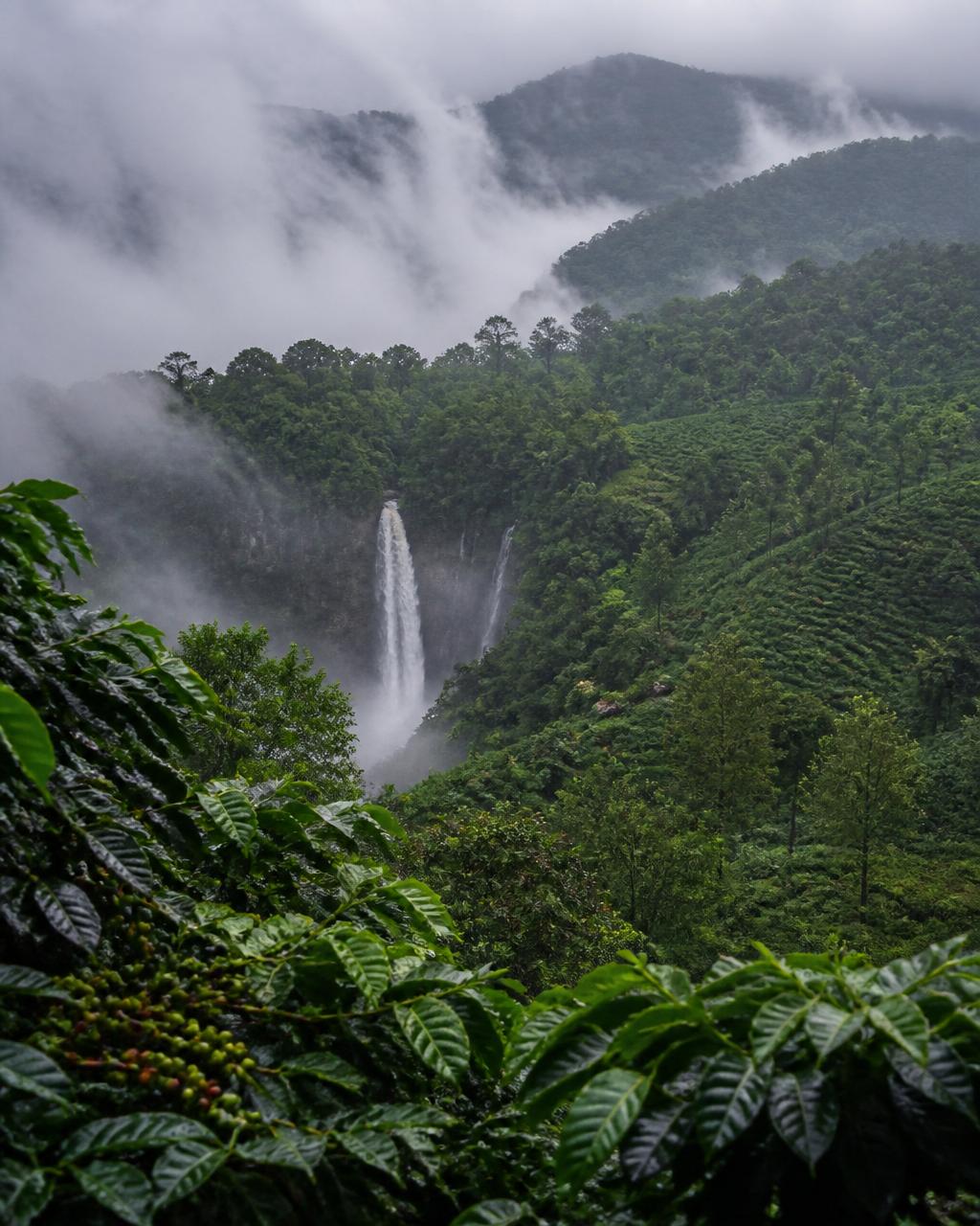 6 Days Wayanad – Mysore – Coorg